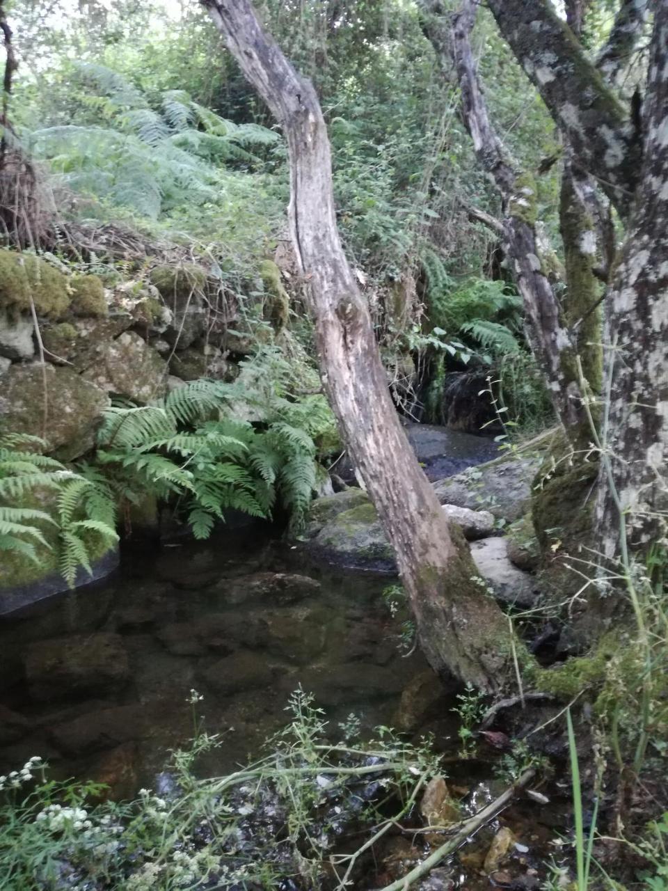 Casa Rural Mirador Del Valle Cepeda Zewnętrze zdjęcie